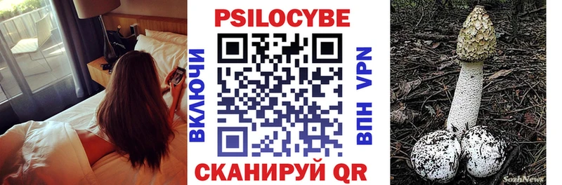 Купить закладки  Черноголовка  Галлюциногенные грибы Cubensis 